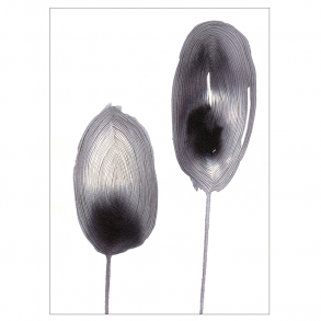 Organic Grey art print