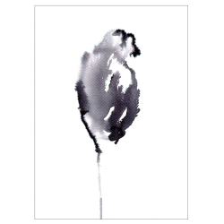 Feather Flower art print